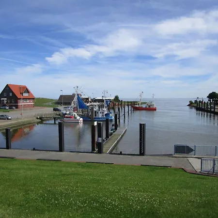 Seesternchen * Butjadingen